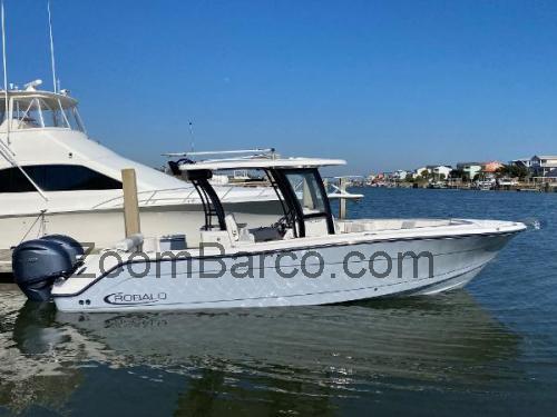 Robalo R302 Center Console ficha tecnica